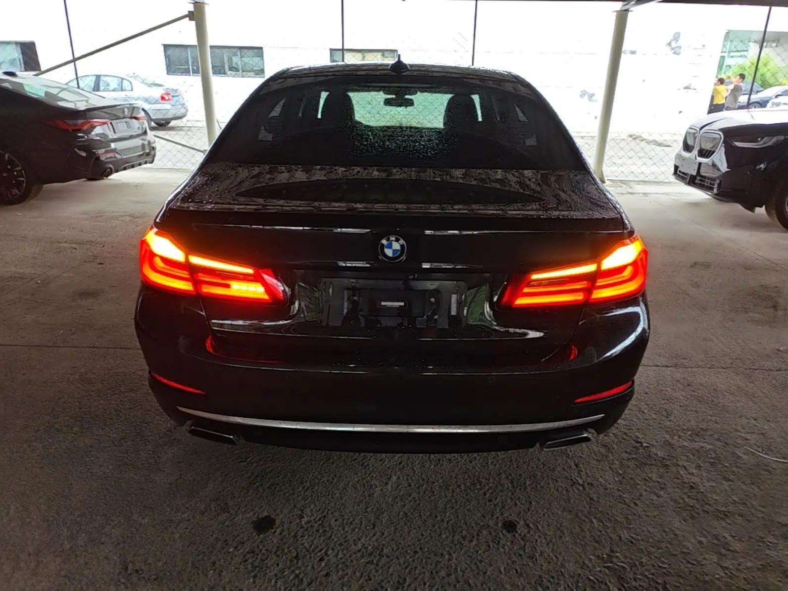 BMW 5 Series 2019 Facelifted 530Li Leading Edition Luxury Package — миниатюра 5