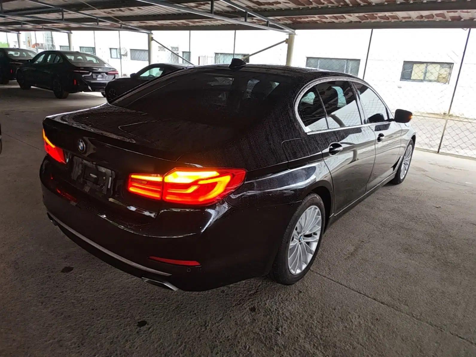 BMW 5 Series 2019 Facelifted 530Li Leading Edition Luxury Package — миниатюра 6