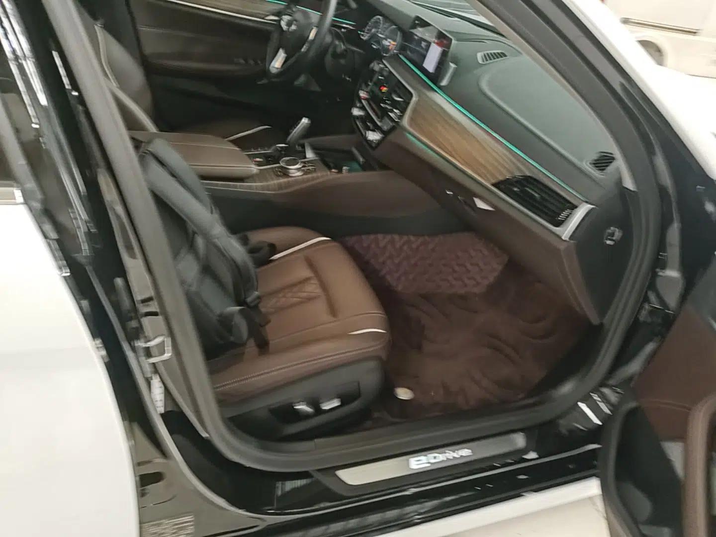 BMW 5 Series New Energy 2019 Updated Version 530Le Luxury Package — миниатюра 24