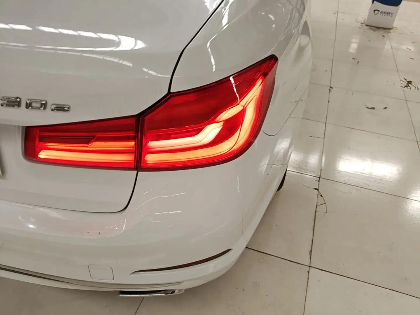 BMW 5 Series New Energy 2019 Updated Version 530Le Luxury Package — миниатюра 9