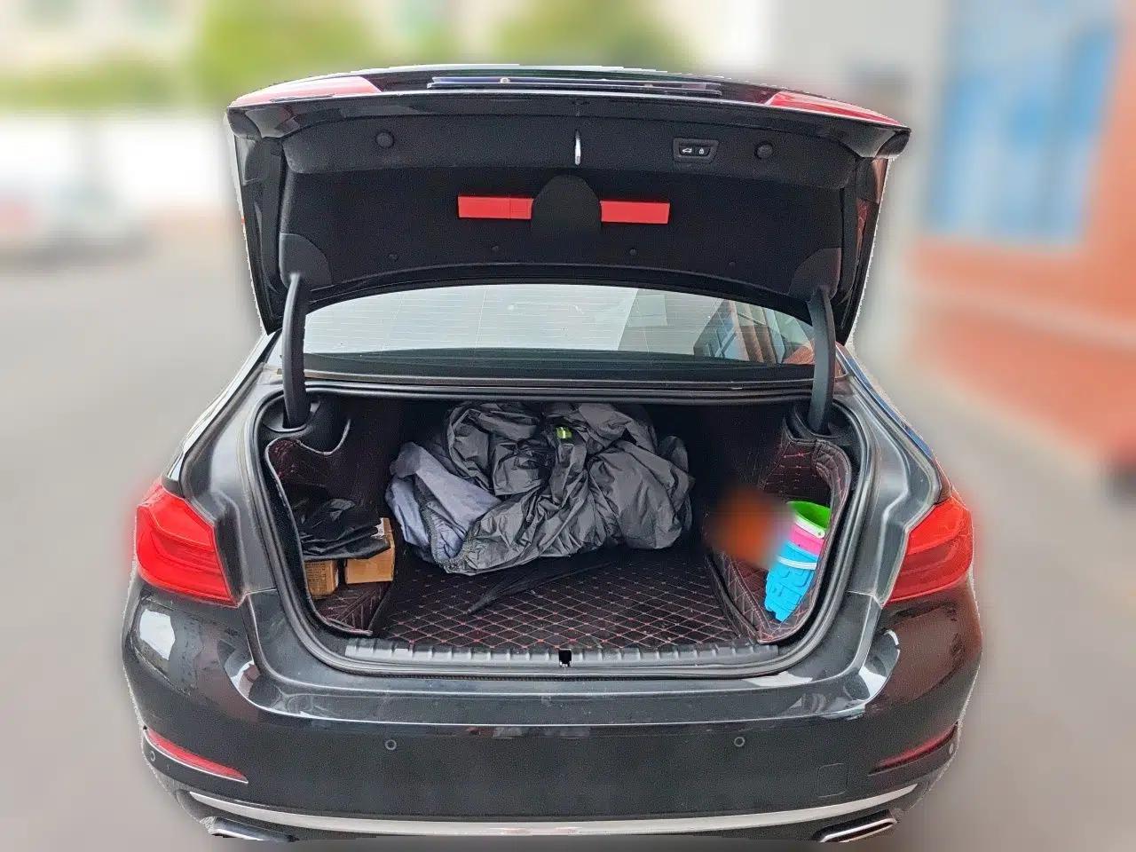 BMW 5 Series 2018 Revised Version 530Li Leading Edition Luxury Package — миниатюра 19