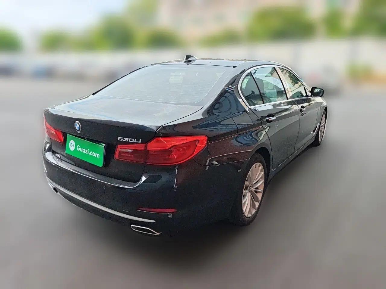 BMW 5 Series 2018 Revised Version 530Li Leading Edition Luxury Package — миниатюра 6