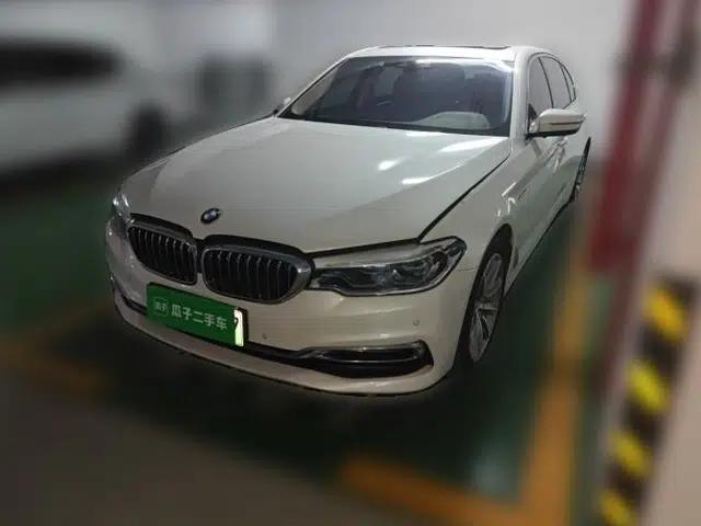 BMW 5 Series New Energy 2019 530Le Luxury Package