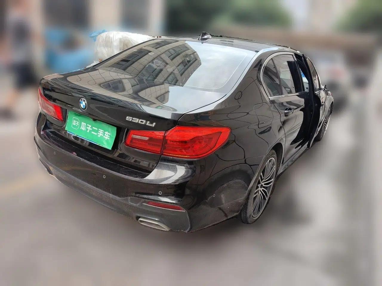 BMW 5 Series 2019 530Li Leading Model M Sport Package — миниатюра 6