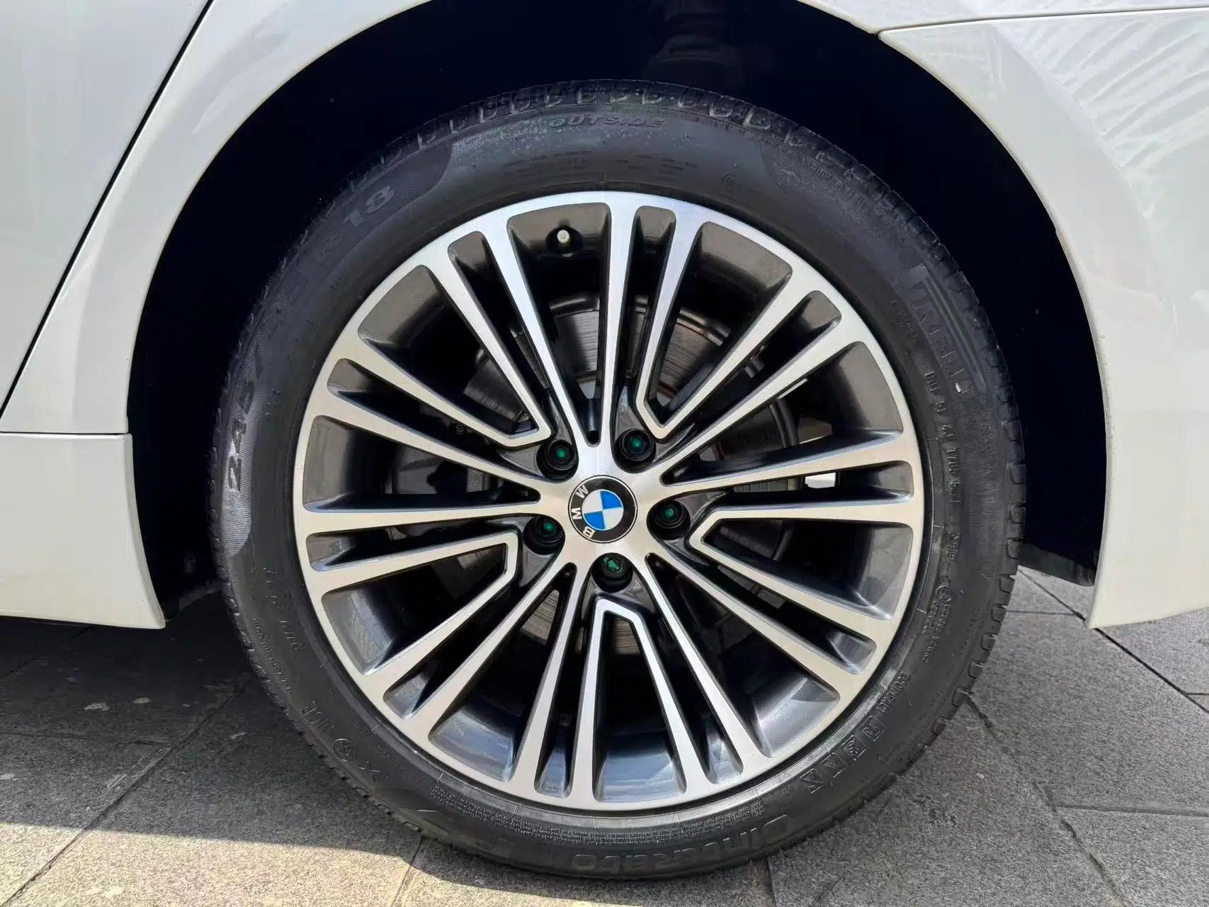 BMW 5 Series 2018 Facelifted 530Li Luxury Edition Premium Package — миниатюра 9