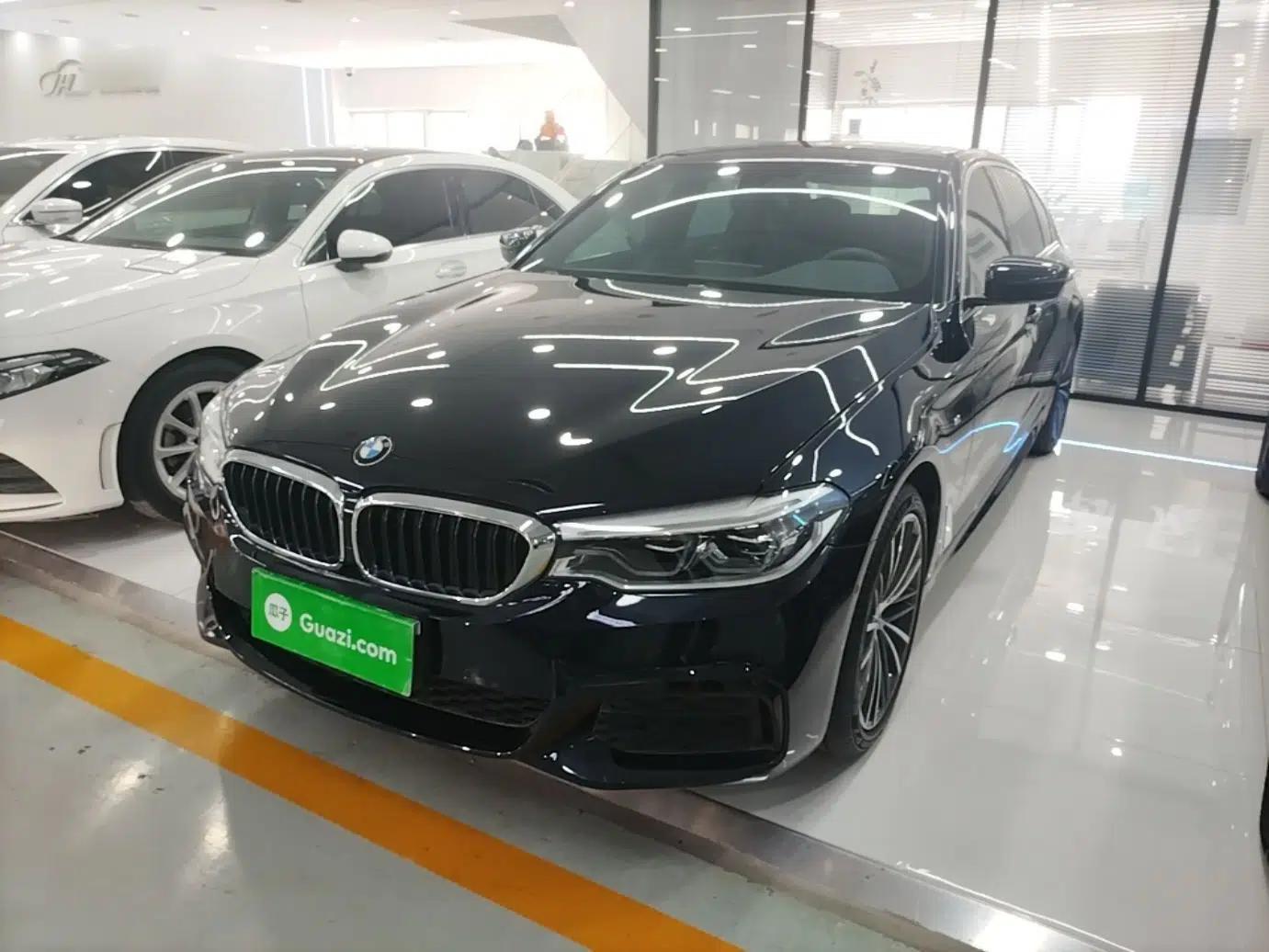 BMW 5 Series 2020 530Li Leading Model M Sport Package — миниатюра 1