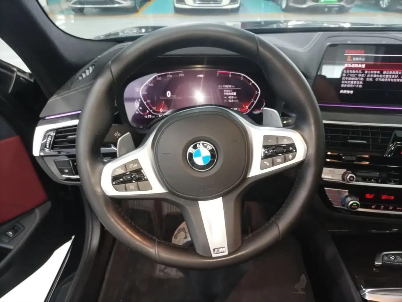 BMW 5 Series 2020 530Li Leading Model M Sport Package — миниатюра 13