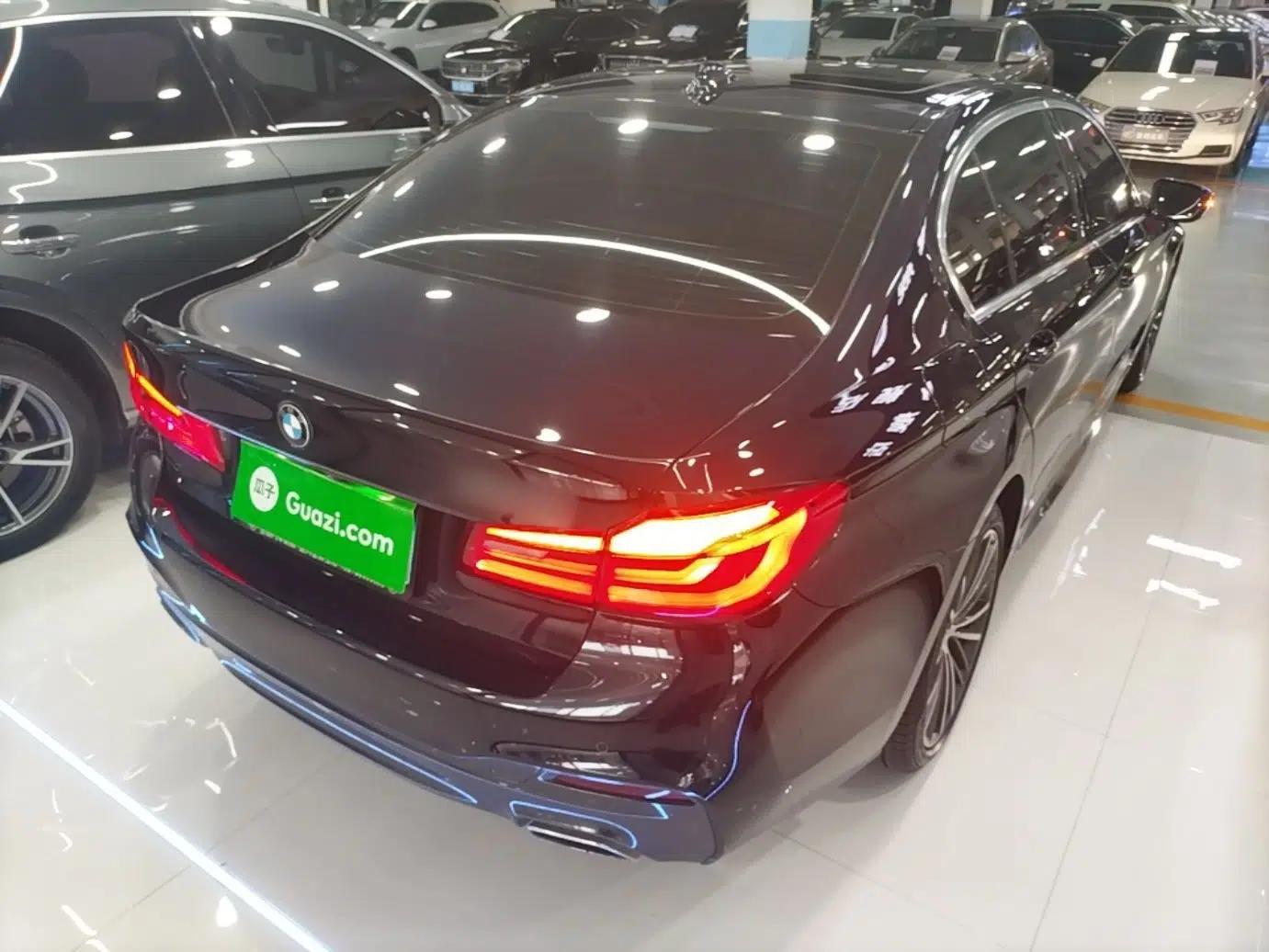 BMW 5 Series 2020 530Li Leading Model M Sport Package — миниатюра 6