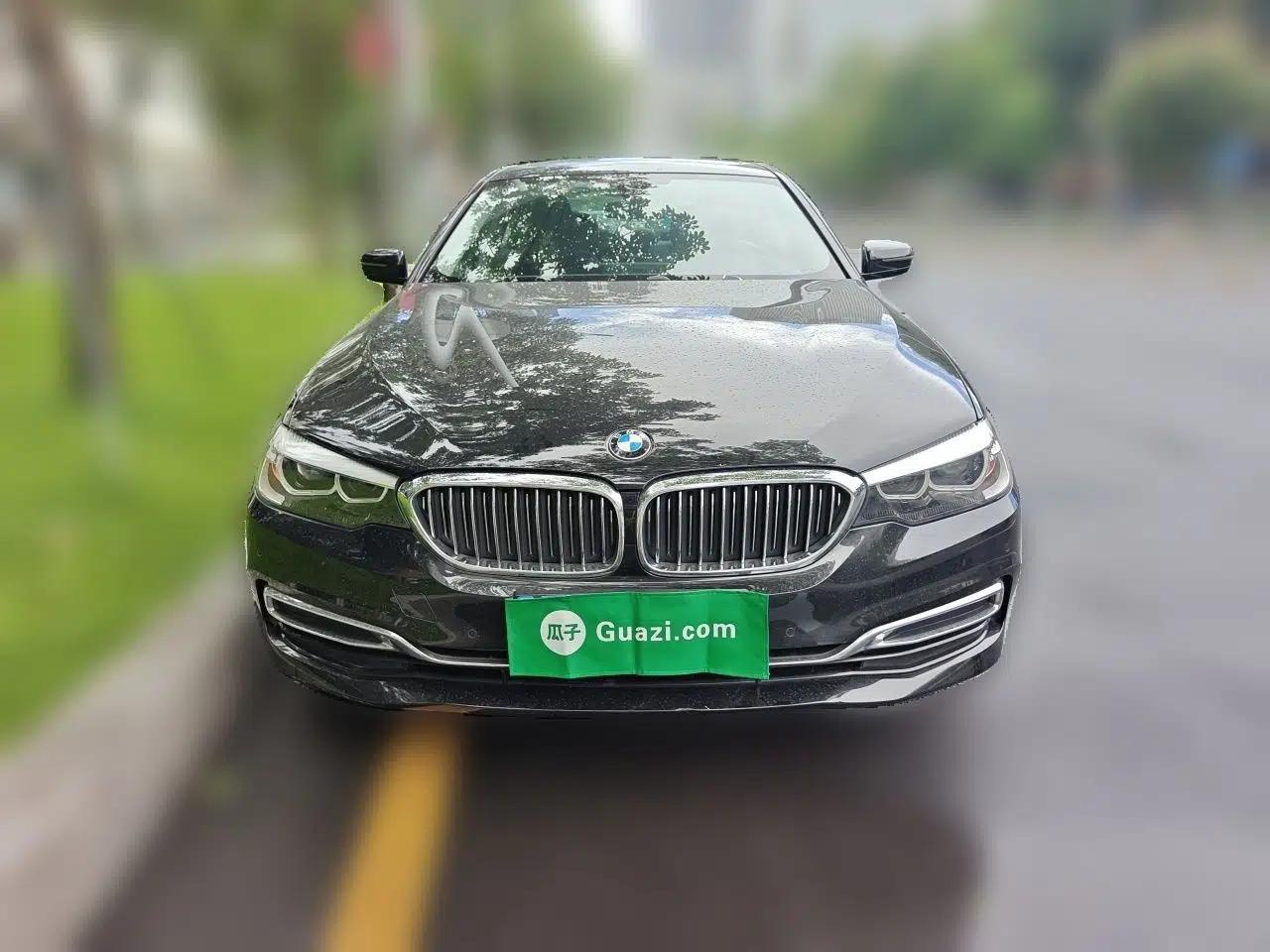 BMW 5 Series 2019 Facelifted 530Li Leading Edition Luxury Package — миниатюра 2