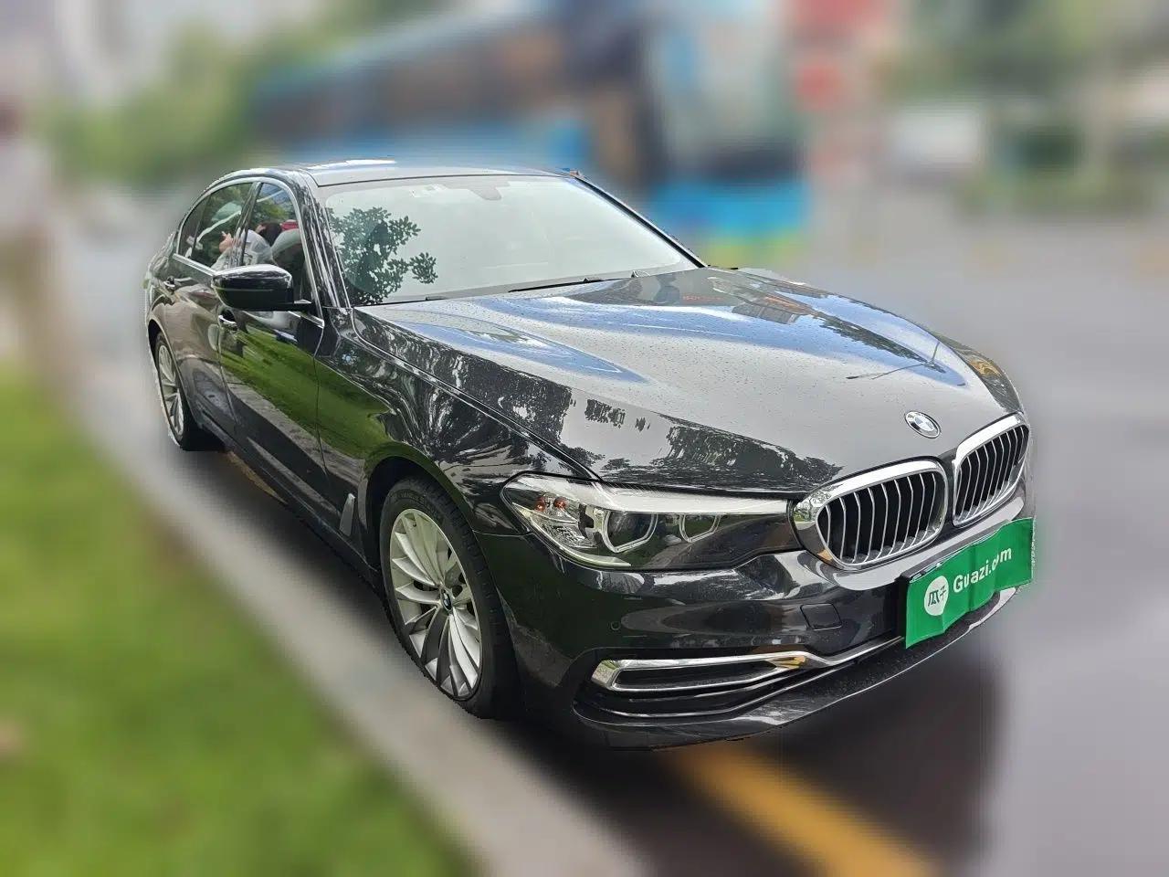 BMW 5 Series 2019 Facelifted 530Li Leading Edition Luxury Package — миниатюра 3