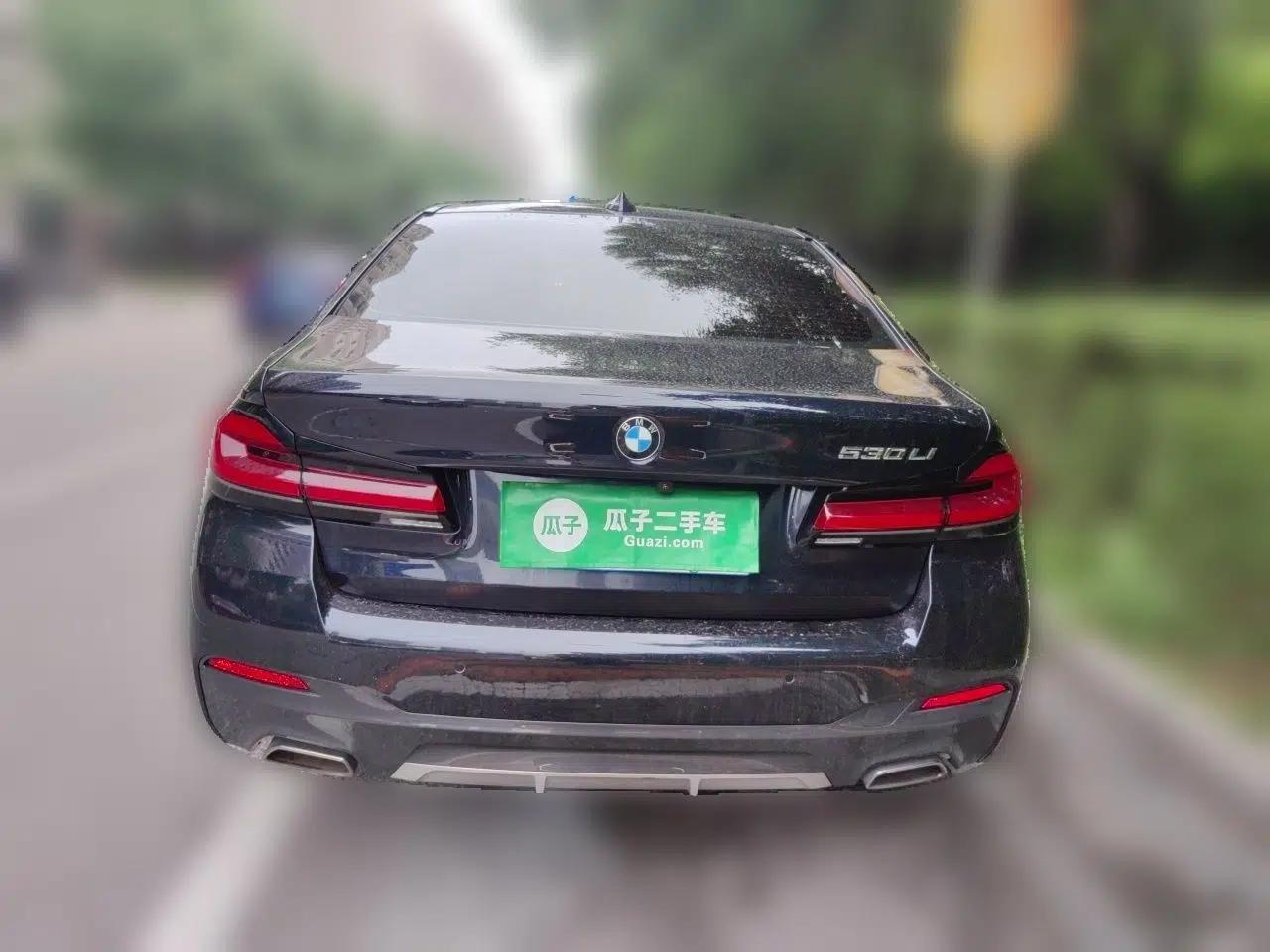 BMW 5 Series 2021 530Li Luxury Edition M Sport Package — миниатюра 5