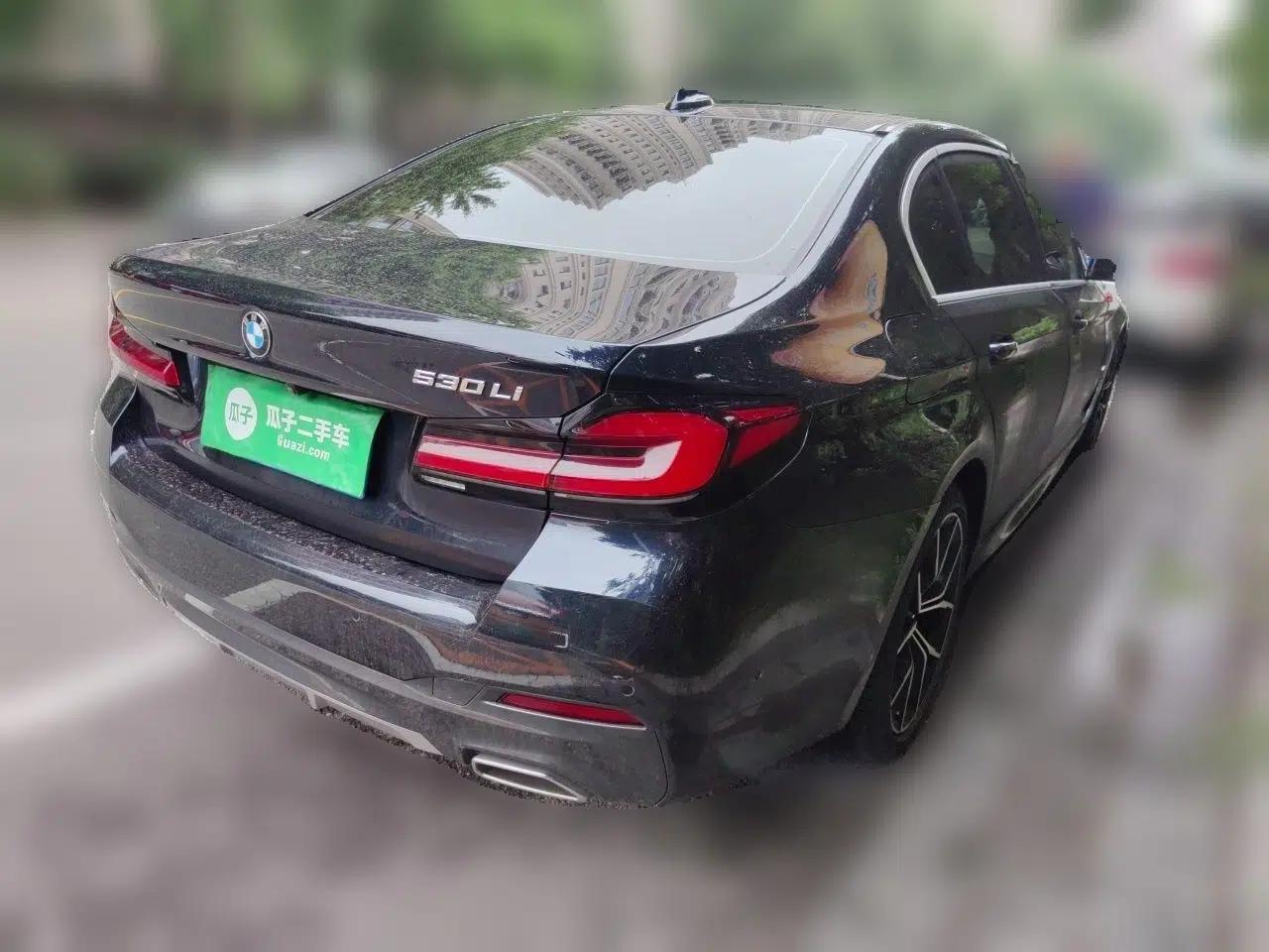 BMW 5 Series 2021 530Li Luxury Edition M Sport Package — миниатюра 6