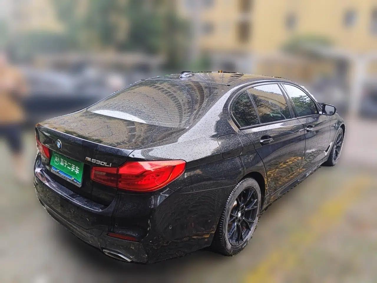 BMW 5 Series 2018 530Li Luxury Edition M Sport Package — миниатюра 6