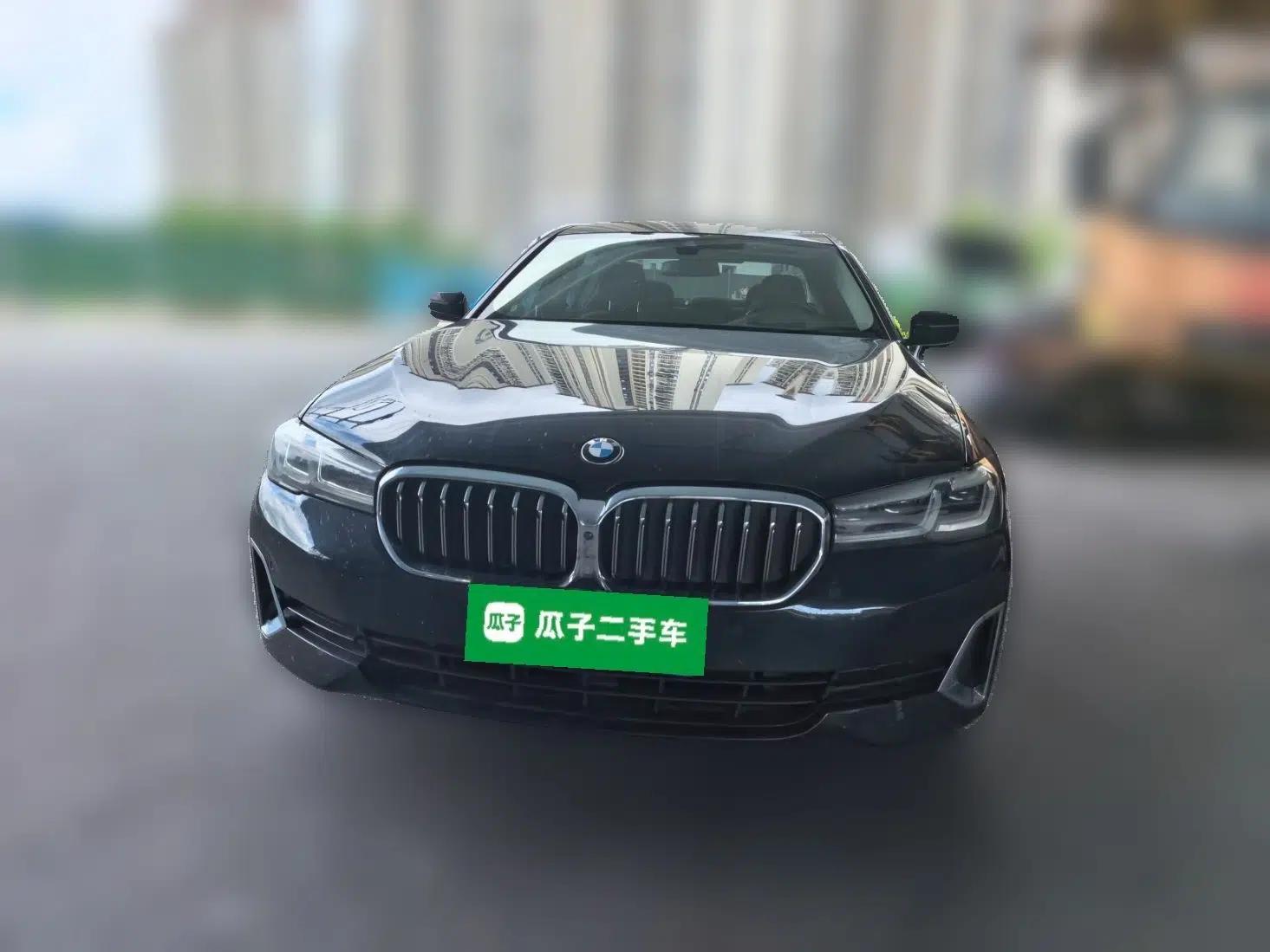 BMW 5 Series 2021 530Li Luxury Edition Premium Package — миниатюра 2