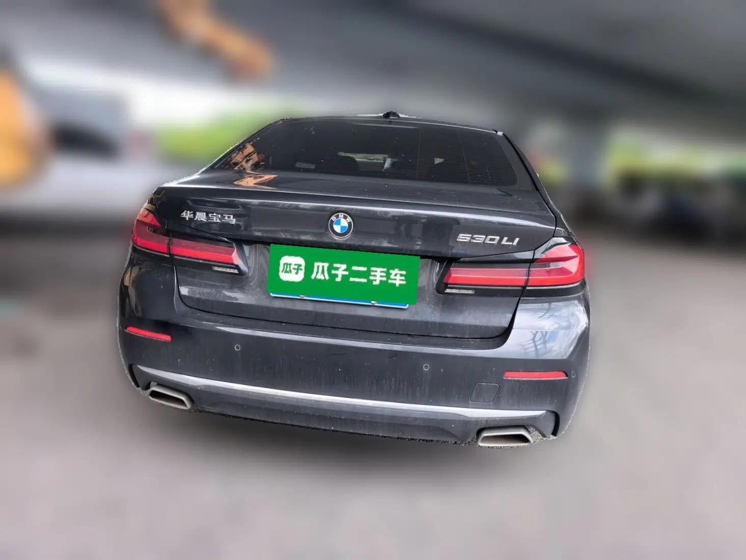 BMW 5 Series 2021 530Li Luxury Edition Premium Package — миниатюра 5