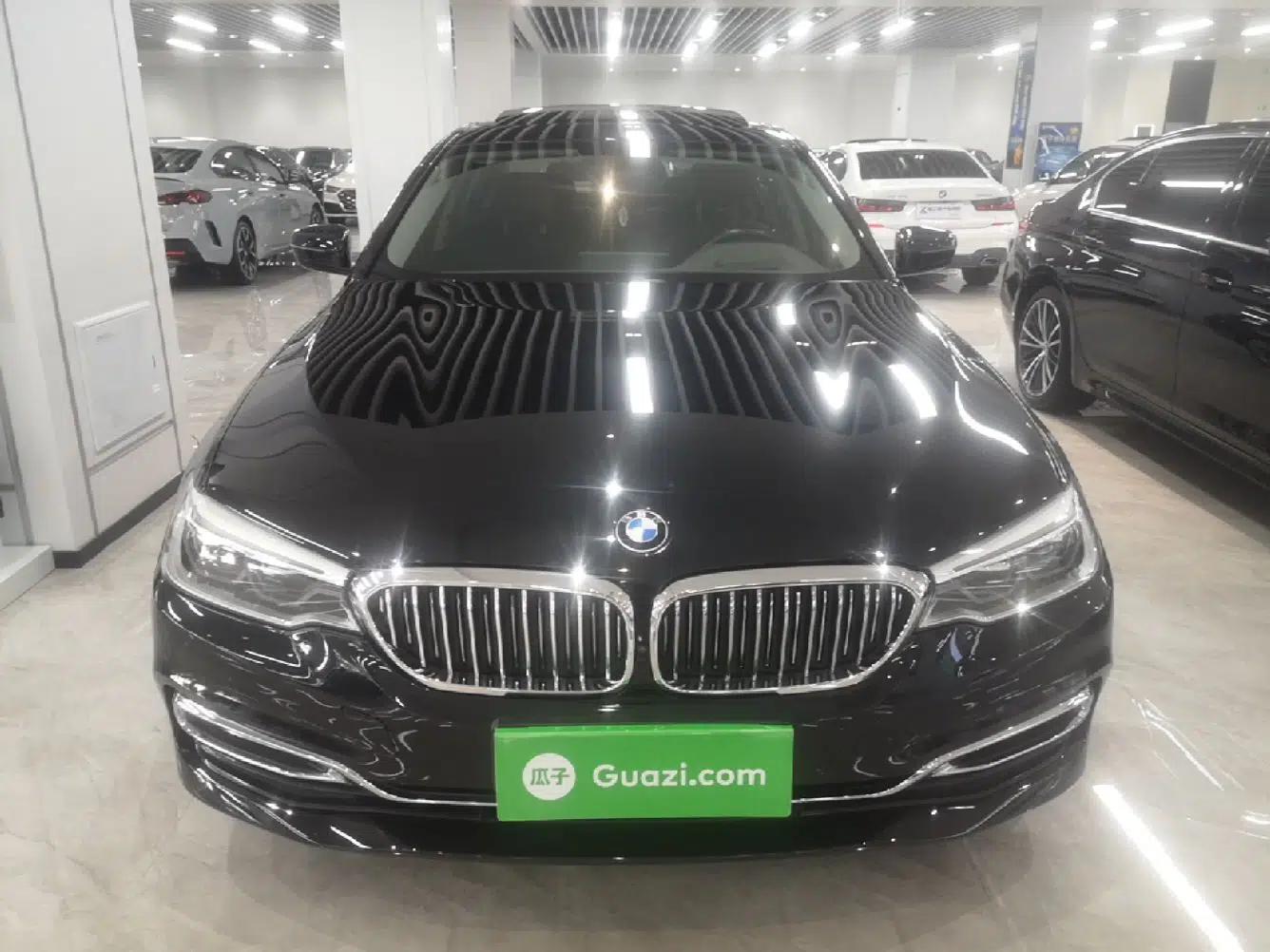 BMW 5 Series 2020 530Li Luxury Edition Premium Package — миниатюра 2