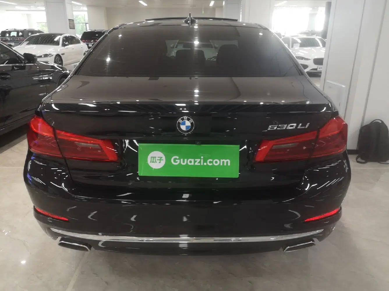 BMW 5 Series 2020 530Li Luxury Edition Premium Package — миниатюра 5