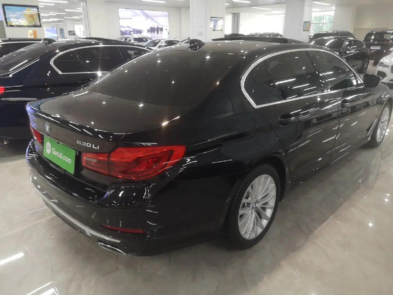 BMW 5 Series 2020 530Li Luxury Edition Premium Package — миниатюра 6
