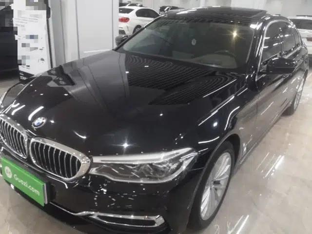 BMW 5 Series 2020 530Li Luxury Edition Premium Package