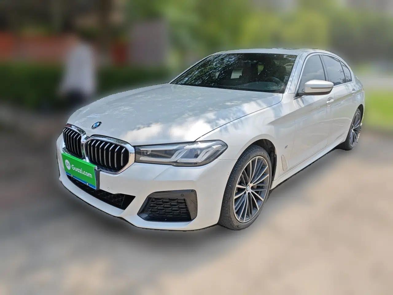BMW 5 Series 2021 530Li Leading Model M Sport Package — миниатюра 1