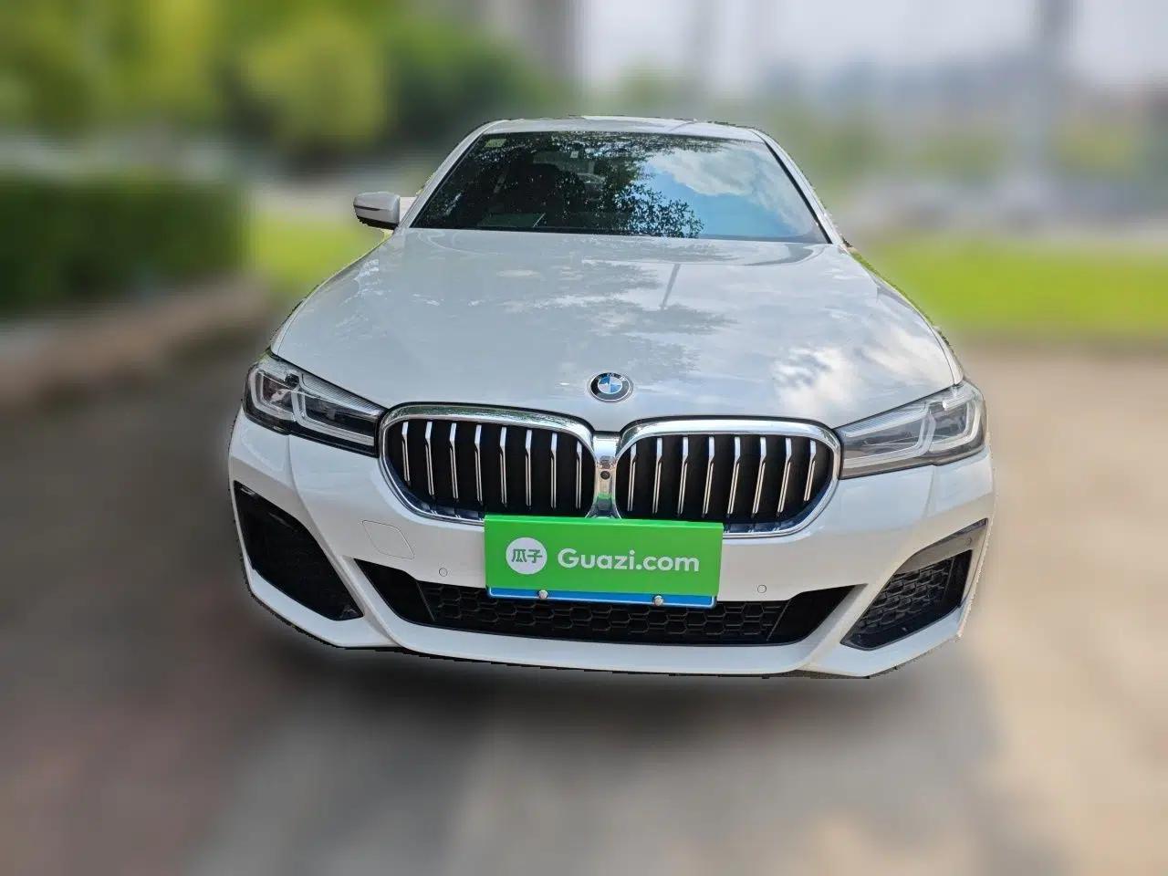 BMW 5 Series 2021 530Li Leading Model M Sport Package — миниатюра 2