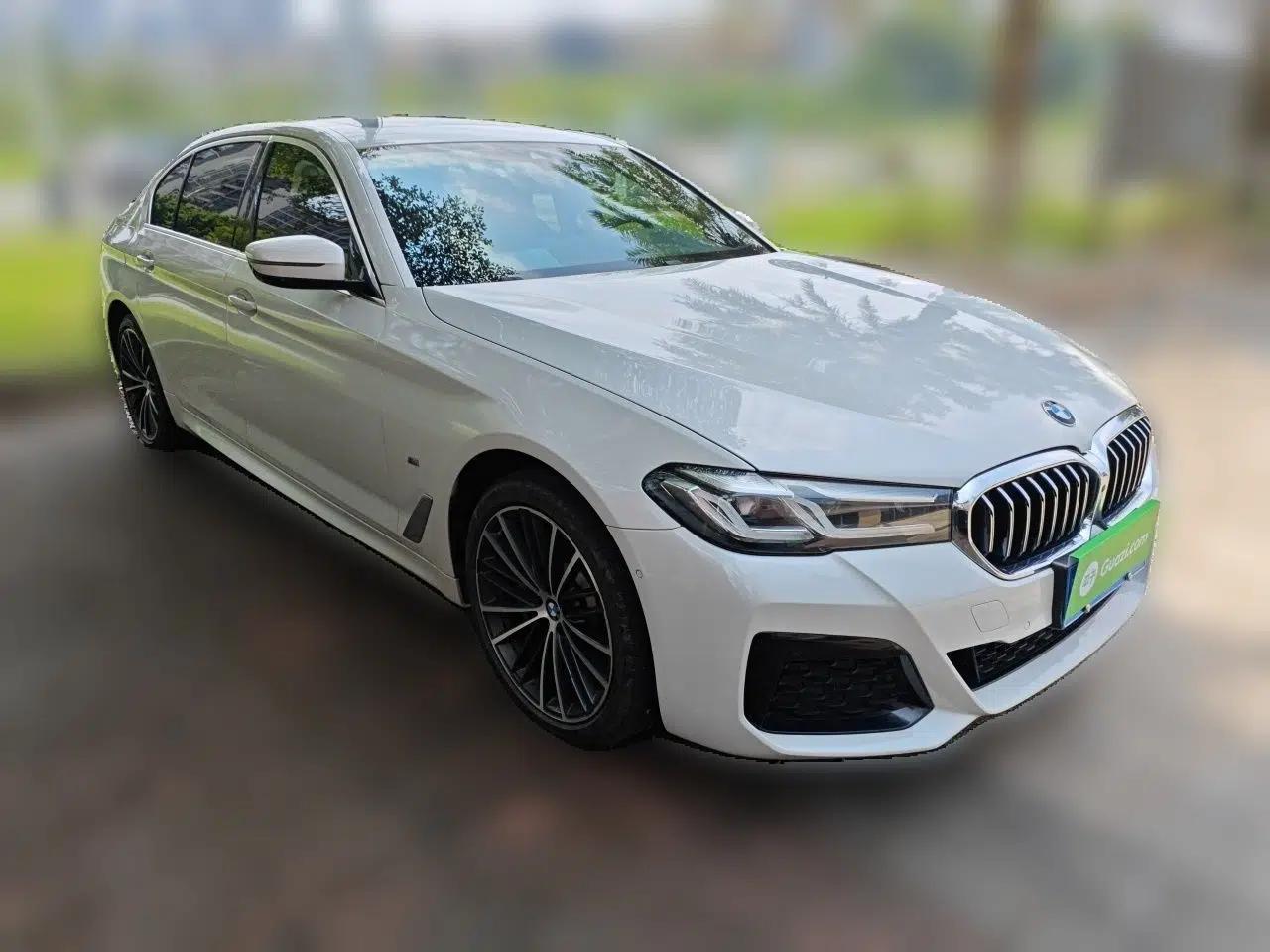 BMW 5 Series 2021 530Li Leading Model M Sport Package — миниатюра 3