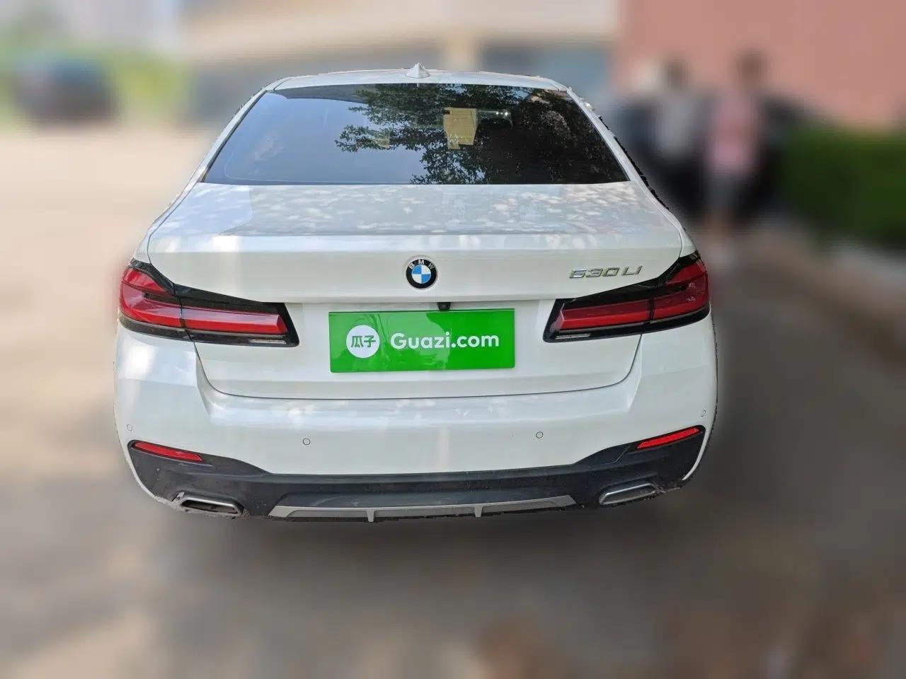BMW 5 Series 2021 530Li Leading Model M Sport Package — миниатюра 5