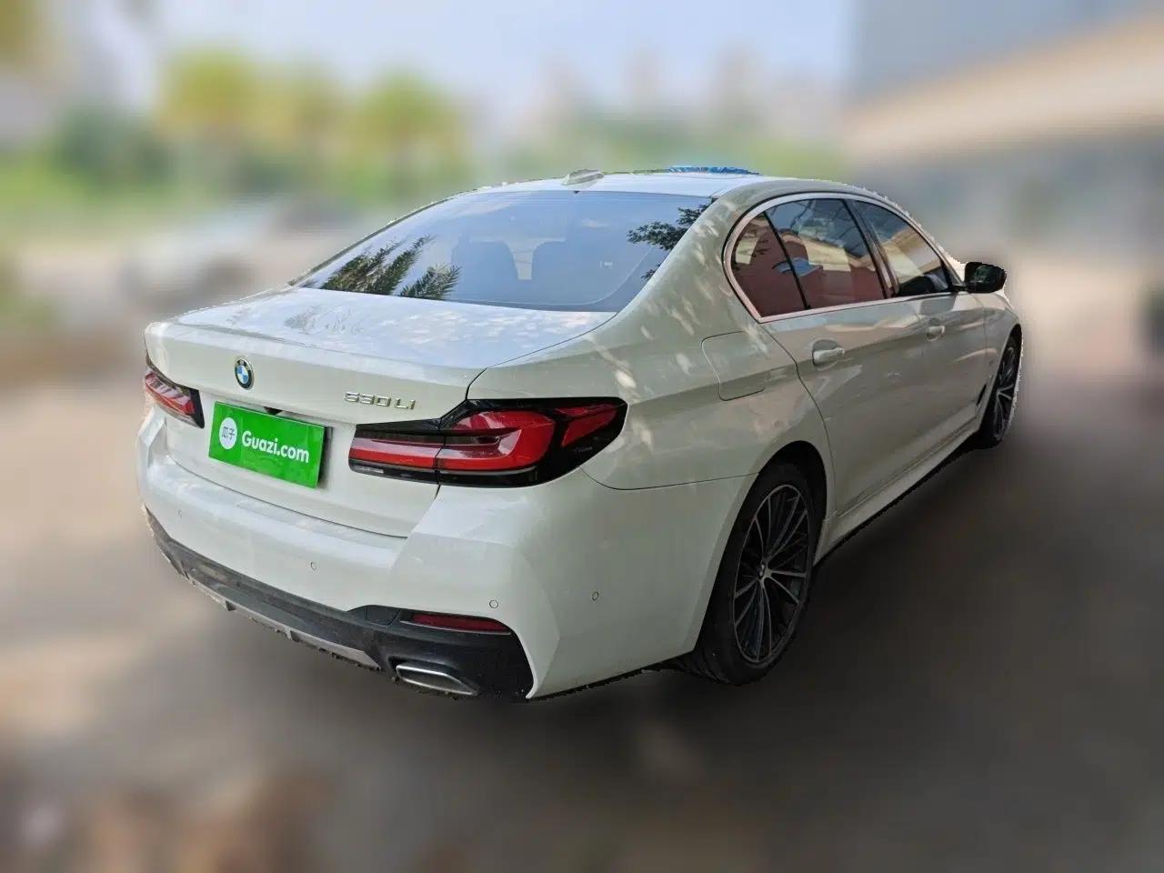 BMW 5 Series 2021 530Li Leading Model M Sport Package — миниатюра 6