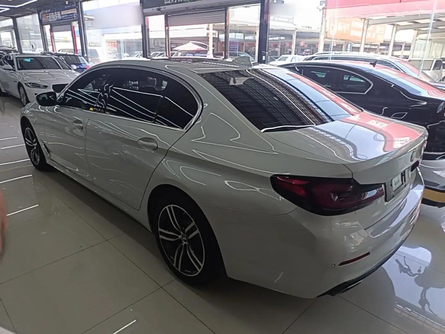 BMW 5 Series 2022 Updated 530Li Leading Edition Luxury Package — миниатюра 13