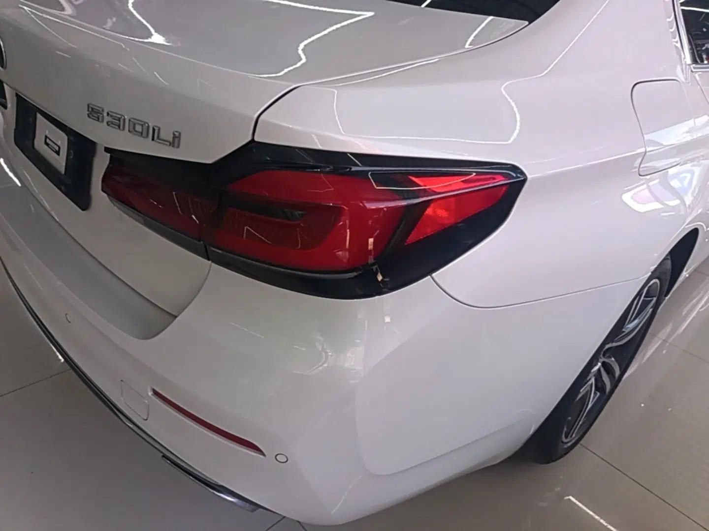 BMW 5 Series 2022 Updated 530Li Leading Edition Luxury Package — миниатюра 14