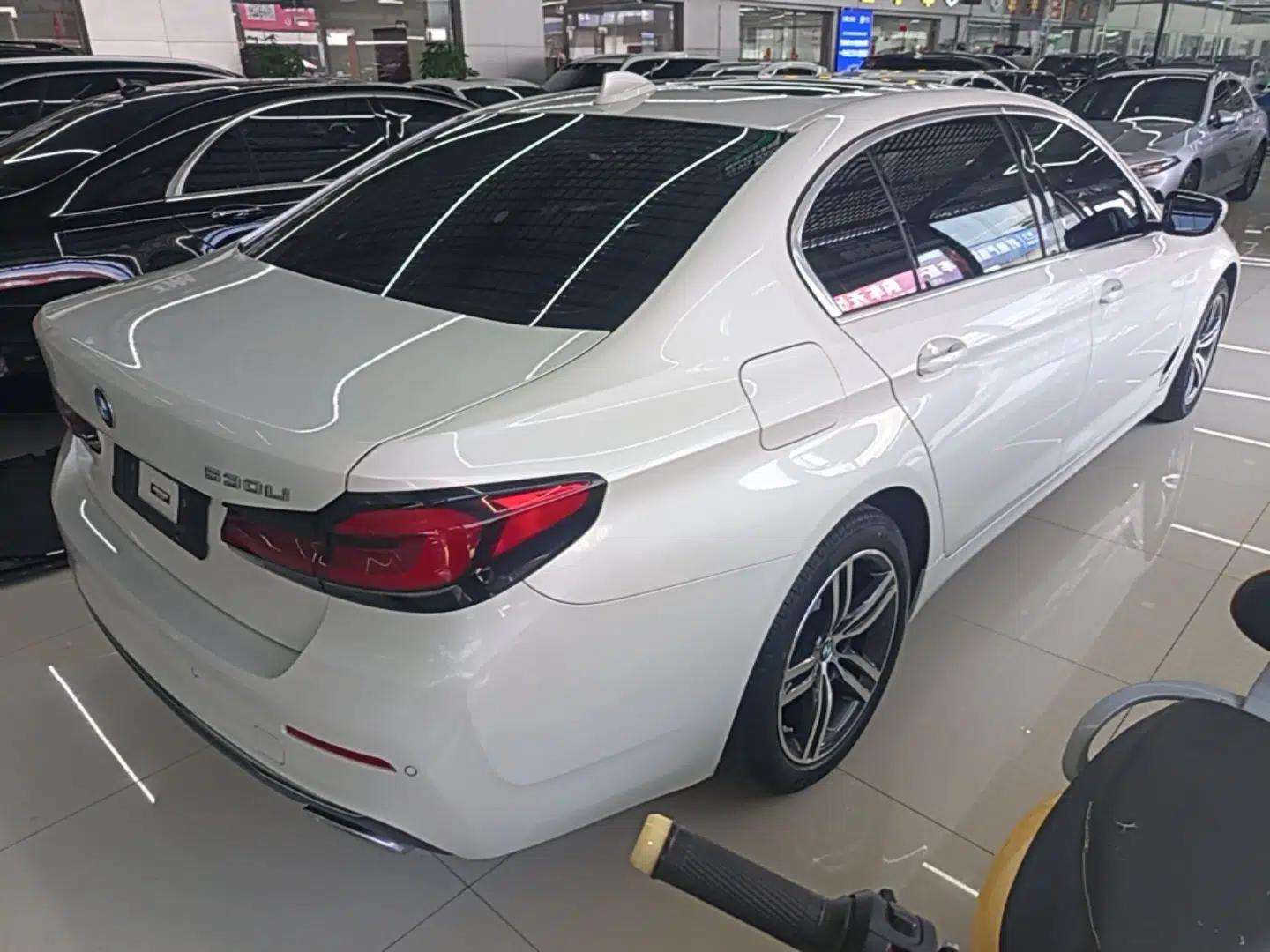BMW 5 Series 2022 Updated 530Li Leading Edition Luxury Package — миниатюра 6