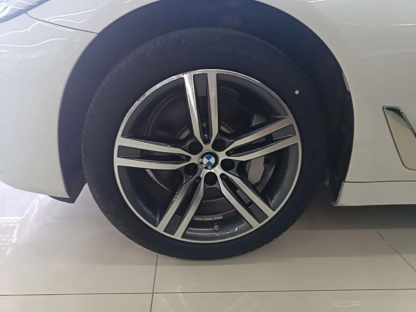 BMW 5 Series 2022 Updated 530Li Leading Edition Luxury Package — миниатюра 10