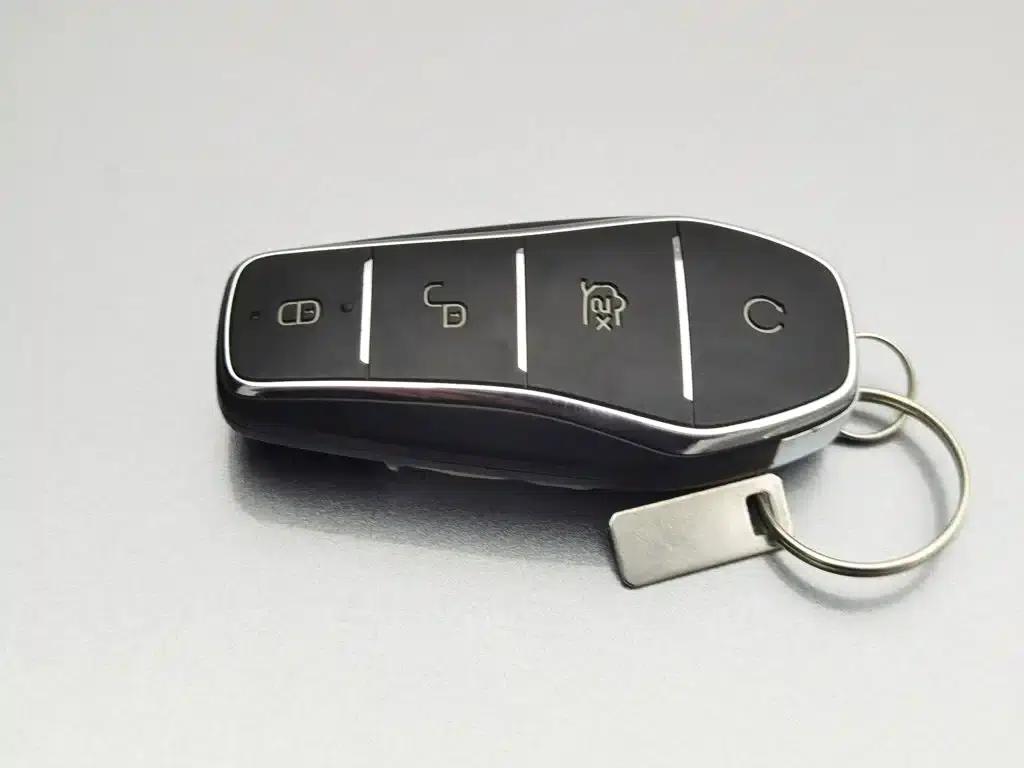 Qin PLUS 2023 Champion Edition DM-i 55KM Leading Model — миниатюра 19