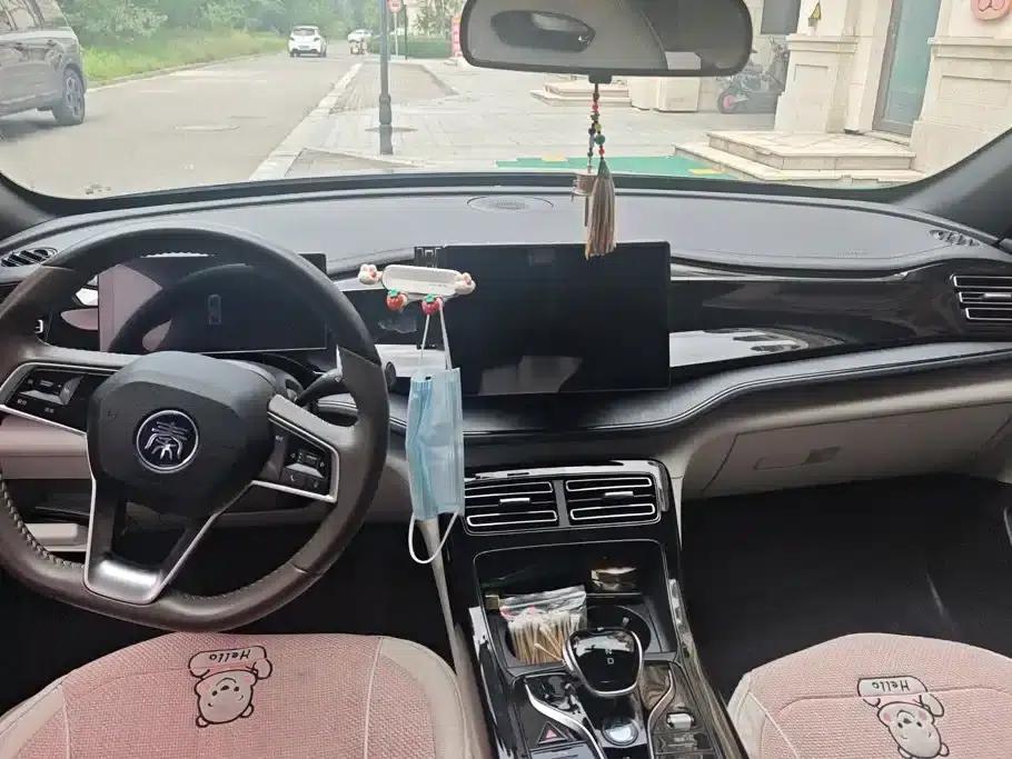 Qin PLUS 2023 Champion Edition DM-i 55KM Leading Model — миниатюра 12