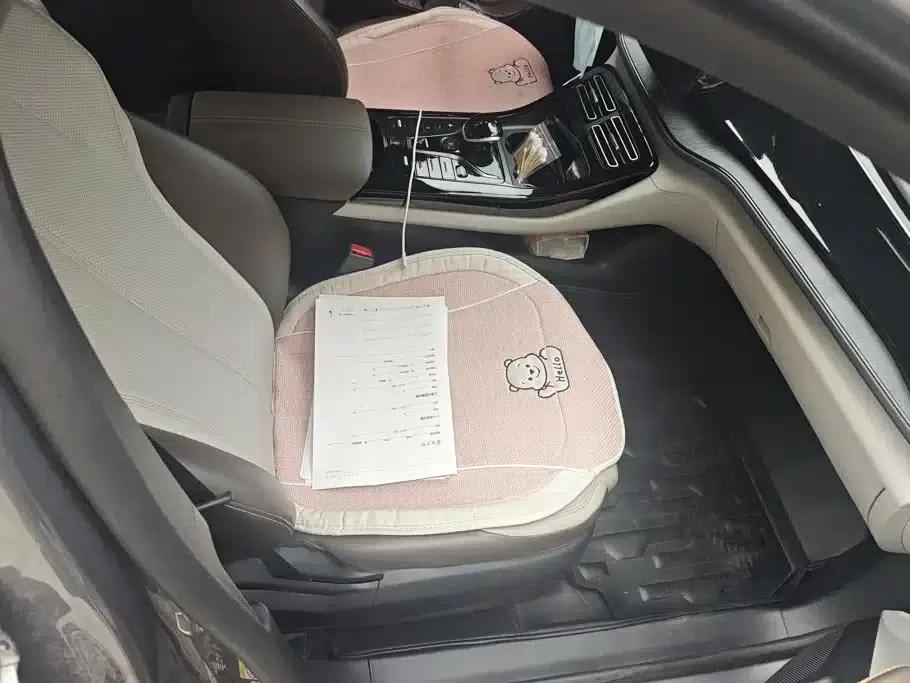 Qin PLUS 2023 Champion Edition DM-i 55KM Leading Model — миниатюра 8