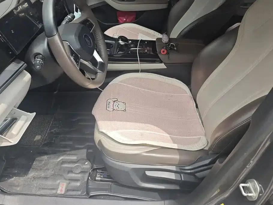 Qin PLUS 2023 Champion Edition DM-i 55KM Leading Model — миниатюра 9