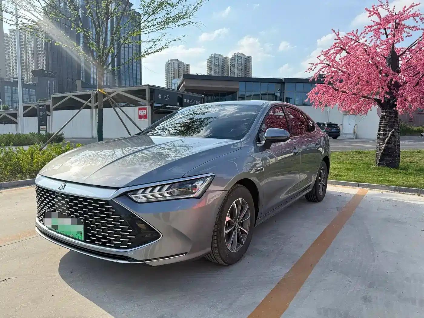 Qin PLUS 2024 Glory Edition DM-i 55KM Leading Model — миниатюра 1