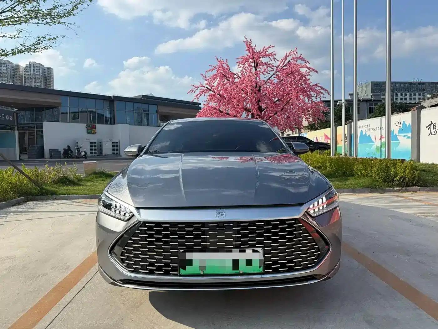 Qin PLUS 2024 Glory Edition DM-i 55KM Leading Model — миниатюра 2