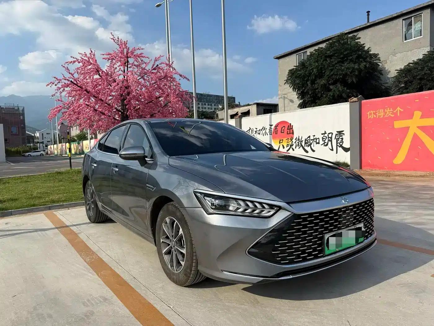 Qin PLUS 2024 Glory Edition DM-i 55KM Leading Model — миниатюра 3