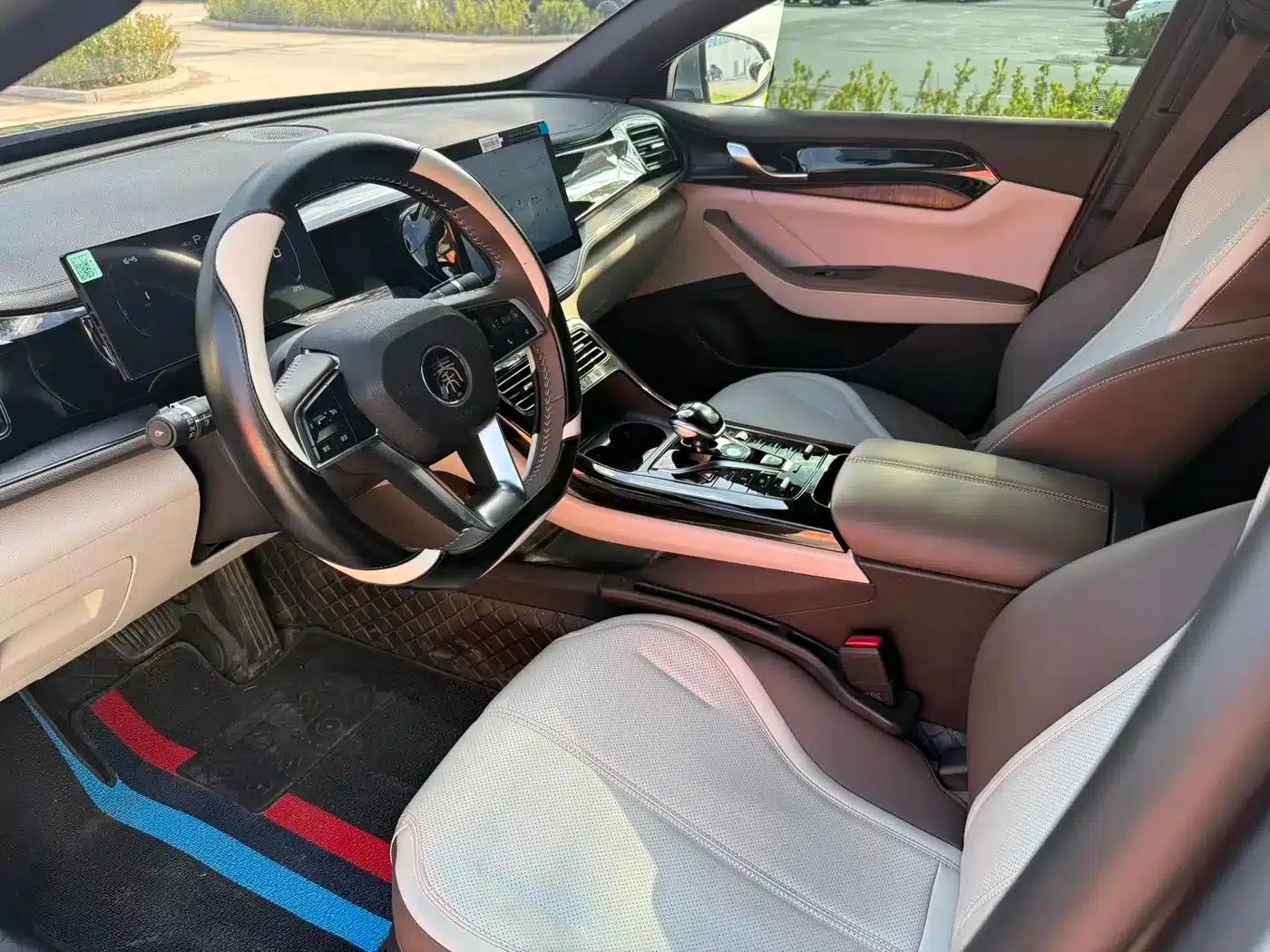 Qin PLUS 2024 Glory Edition DM-i 55KM Leading Model — миниатюра 4