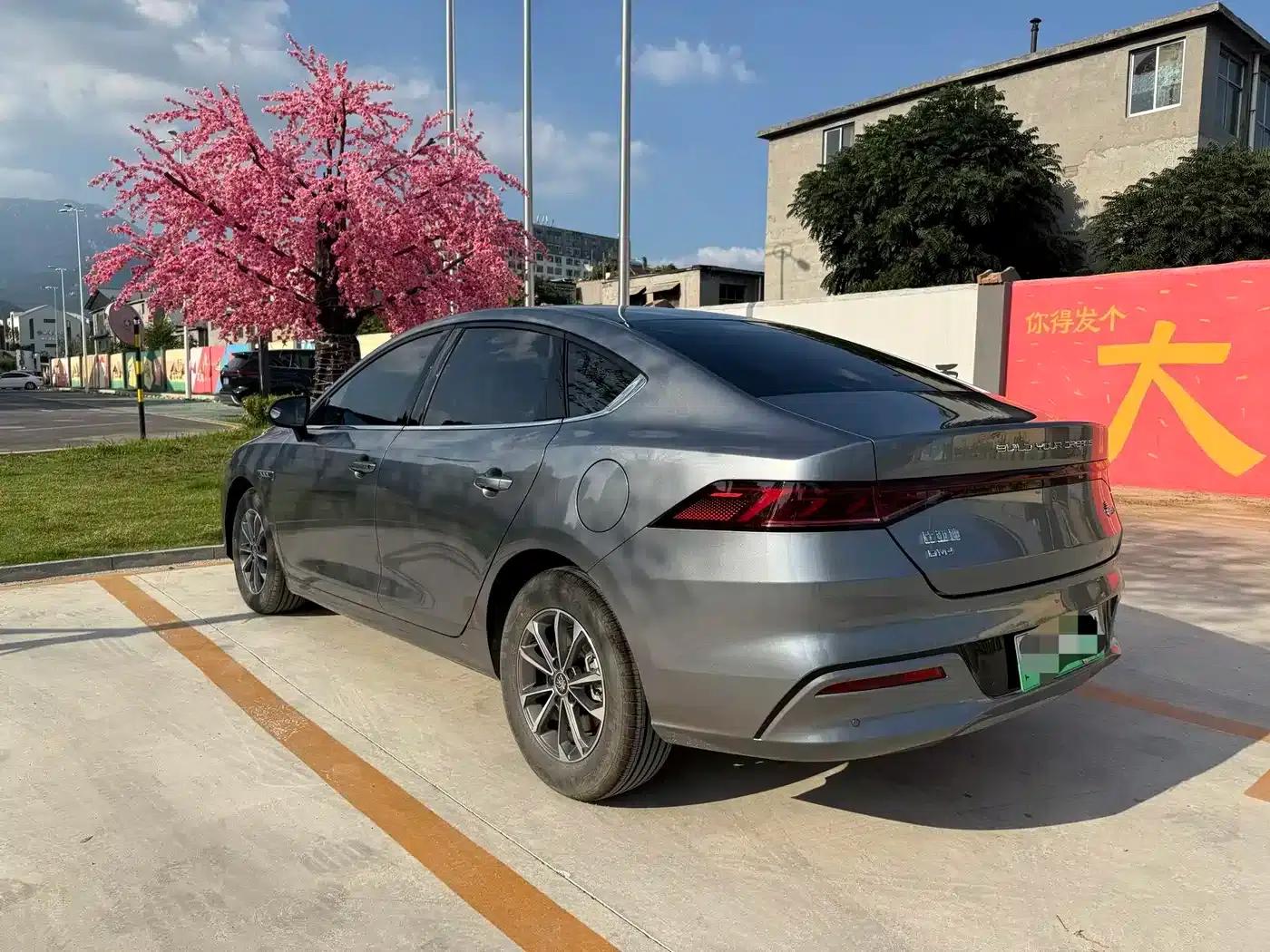 Qin PLUS 2024 Glory Edition DM-i 55KM Leading Model — миниатюра 7