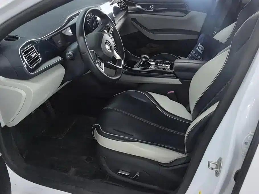 Qin PLUS 2021 DM-i 55KM Flagship Edition — миниатюра 9