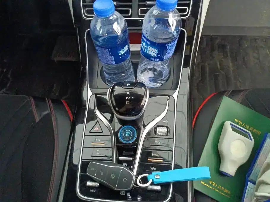 Qin PLUS 2023 Champion Edition DM-i 120KM Leading Model — миниатюра 16