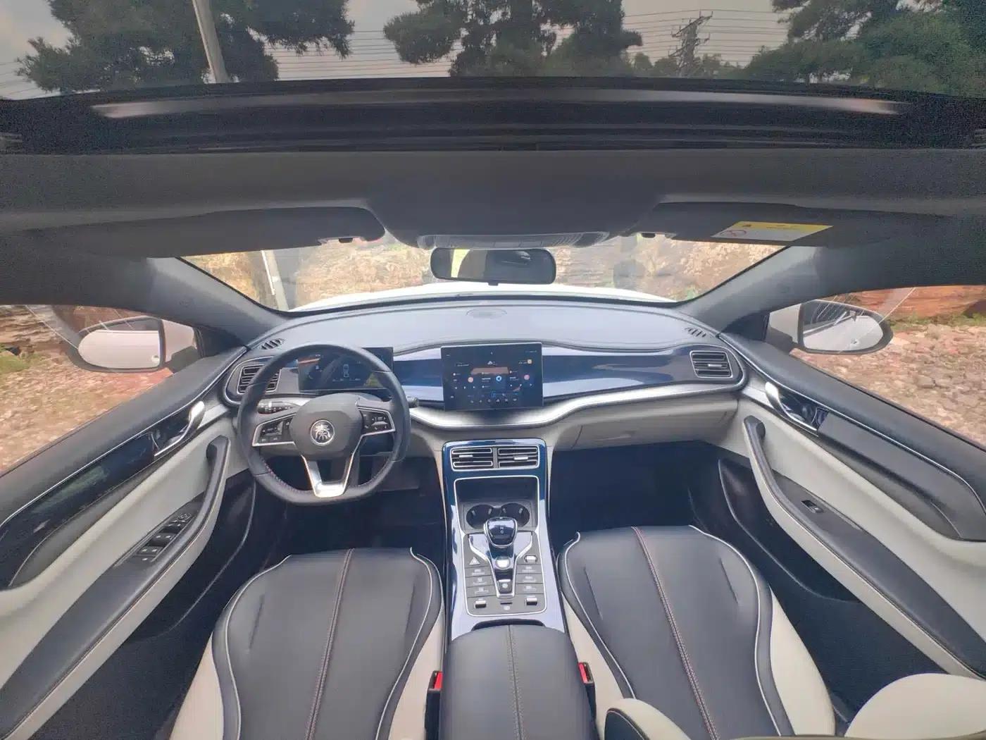Qin PLUS 2023 Champion Edition DM-i 120KM Leading Model — миниатюра 15