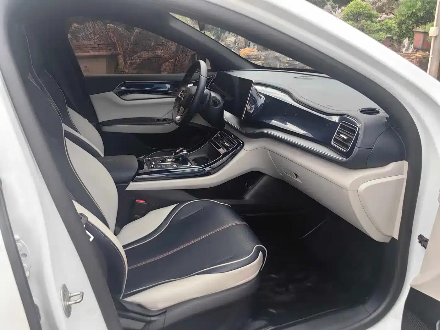 Qin PLUS 2023 Champion Edition DM-i 120KM Leading Model — миниатюра 17
