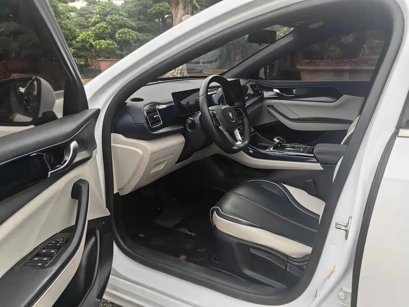 Qin PLUS 2023 Champion Edition DM-i 120KM Leading Model — миниатюра 19