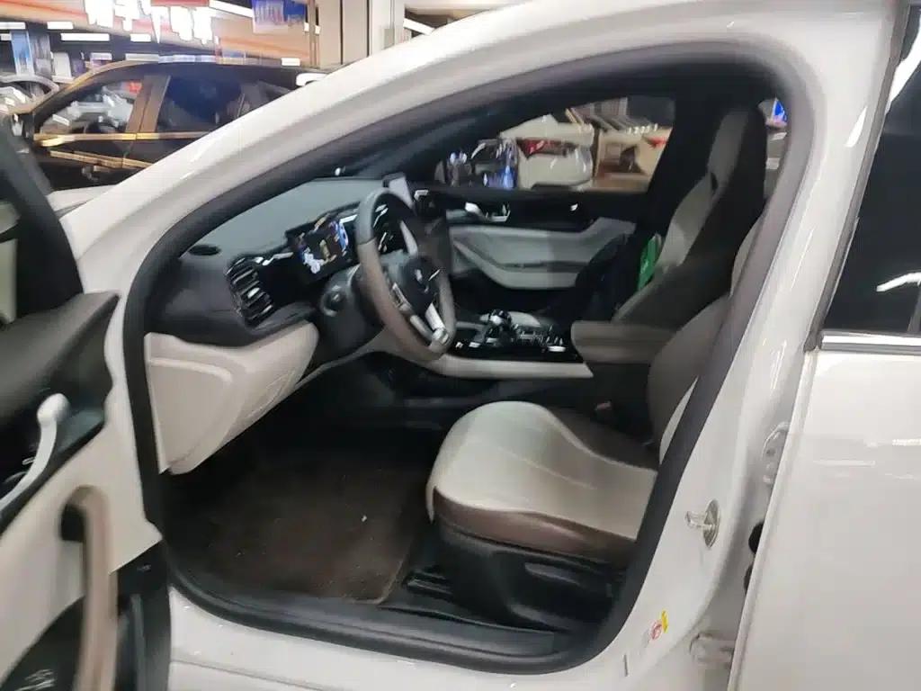 Qin PLUS 2024 Glory Edition DM-i 55KM Leading Model — миниатюра 15