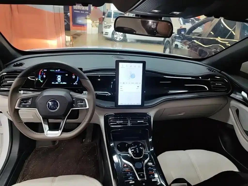 Qin PLUS 2024 Glory Edition DM-i 55KM Leading Model — миниатюра 10