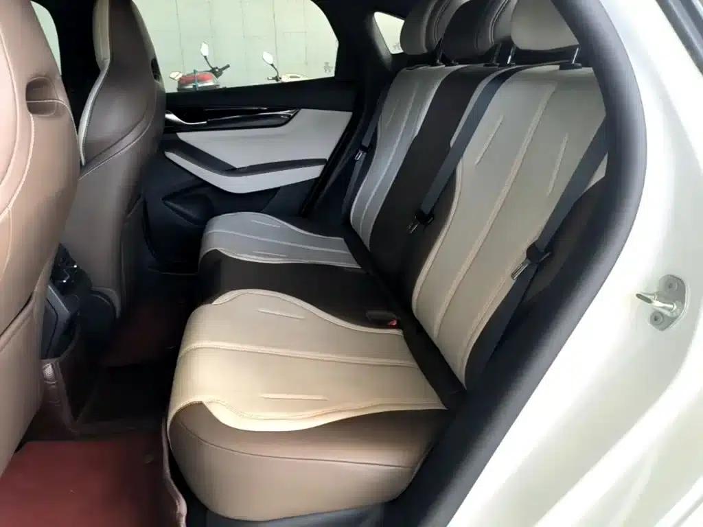 Qin PLUS 2024 Glory Edition DM-i 55KM Leading Model — миниатюра 17