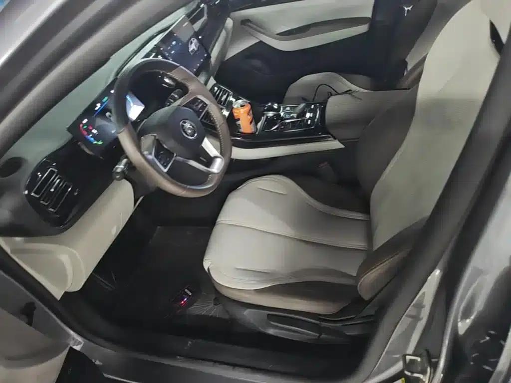 Qin PLUS 2023 Champion Edition DM-i 55KM Leading Model — миниатюра 15